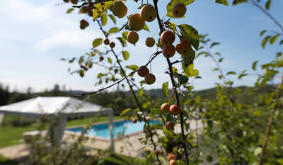 Agriturismo Piettorri, Casole D'Elsa, Siena