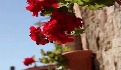 Agriturismo Piettorri, Casole D'Elsa, Siena